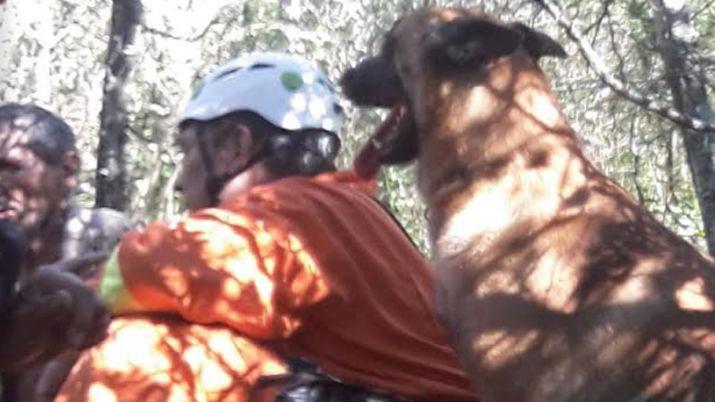 Perros de la policiacutea y especialistas localizan a septuagenario extraviado