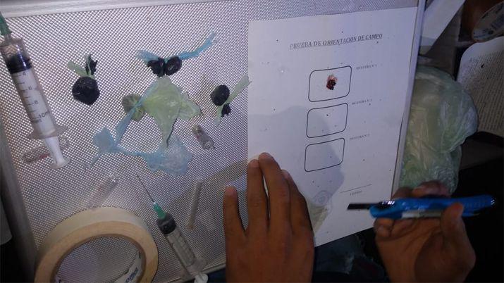 La Banda- atrapan a dos joacutevenes con marihuana