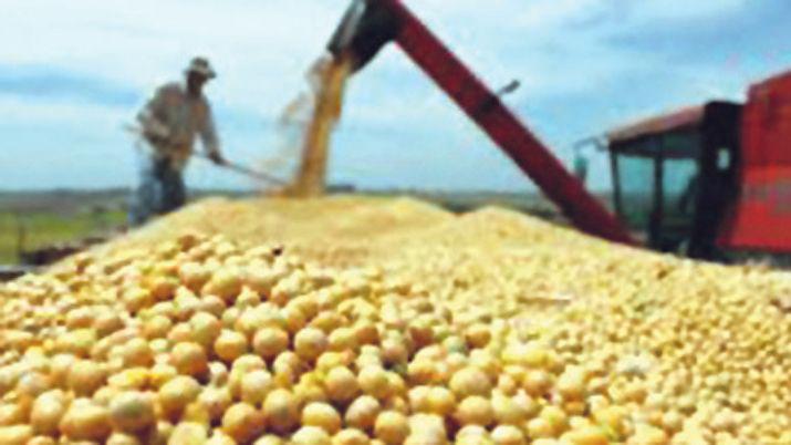 Se estima una campantildea agriacutecola reacutecord con un aumento de 33-en-porciento- y 145 millones de toneladas