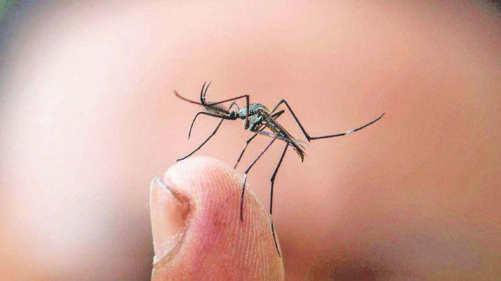 Emiten alerta epidemioloacutegica para mayor control del dengue