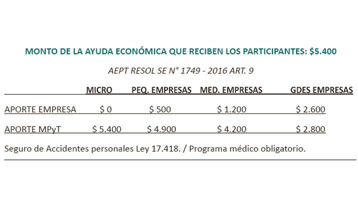 Los planes oficiales para el empleo de personas con discapacidad