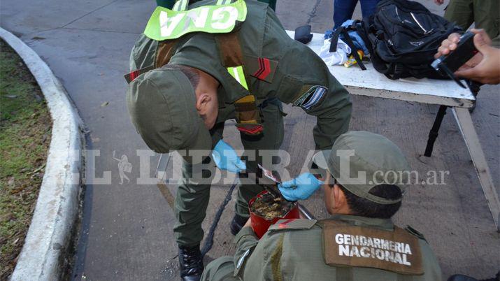 Detienen a un ecuatoriano que escondiacutea casi 10 kg de marihuana en un matafuegos