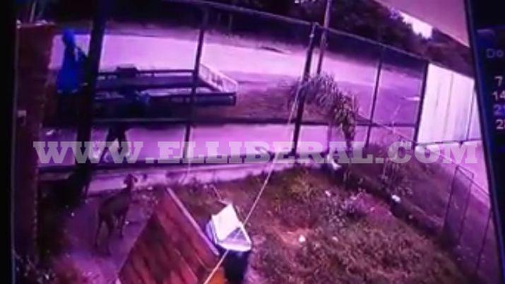 Sumampa- dos joacutevenes arrojaron un gato por encima de un alambrado