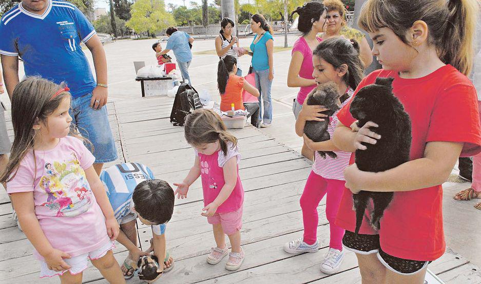 El domingo se festejaraacute el Diacutea del Animal en el Parque Aguirre
