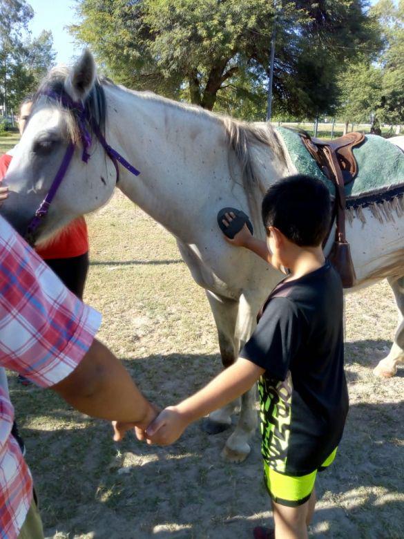 Caballos que curan- de queacute se trata la terapia que brinda bienestar y rehabilita a nintildeos y nintildeas