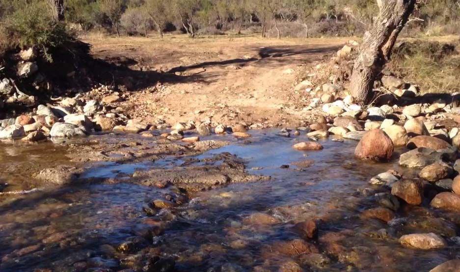Detectan viagra en agua de riacuteos y arroyos argentinos