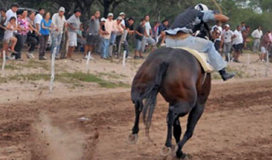 Otra vez un caballo murioacute en una carrera cuadrera y un jockey resultoacute herido