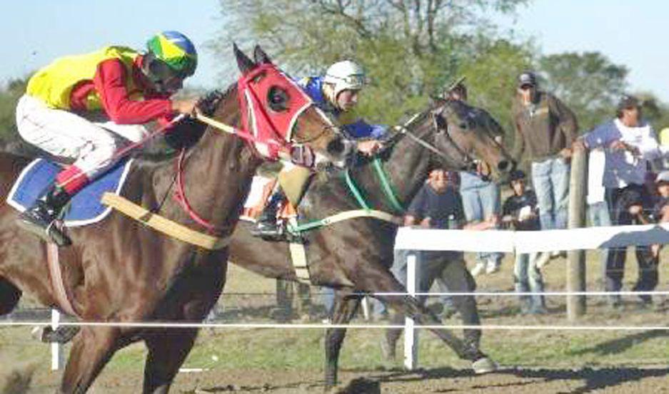 Aprueban en Clodomira un marco regulatorio y de control  de animales en carreras cuadreras