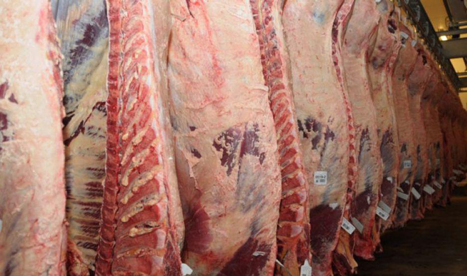 El Senasa inspeccionaraacute el frigoriacutefico que busca exportar carne a EEUU