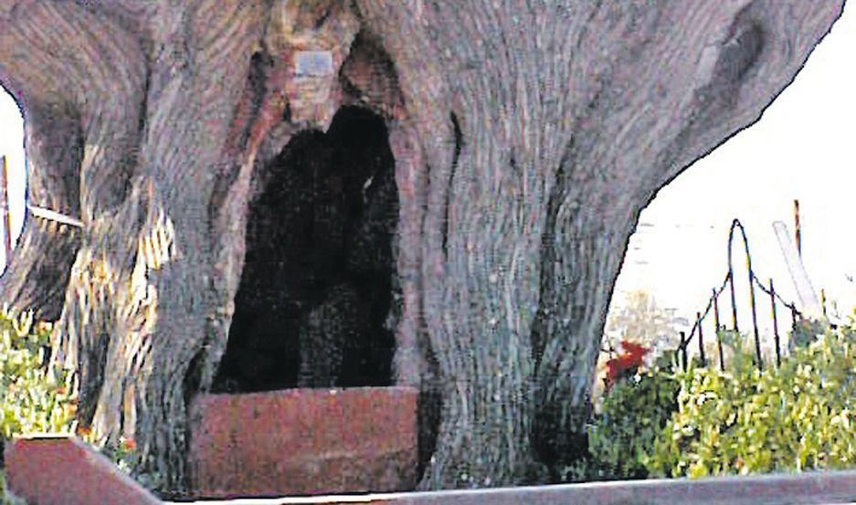 iquestCoacutemo pudo llegar la cruz hasta el hueco del aacuterbol