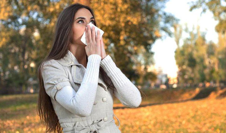 Aconsejan prestar atencioacuten a los agentes que causan alergias