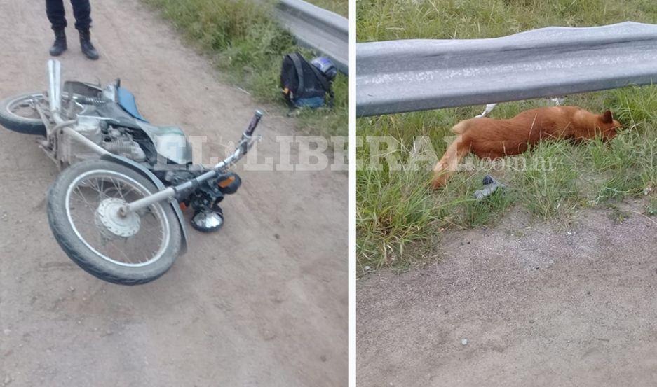 Joven se salvoacute de milagro tras chocar un perro y caer de la moto