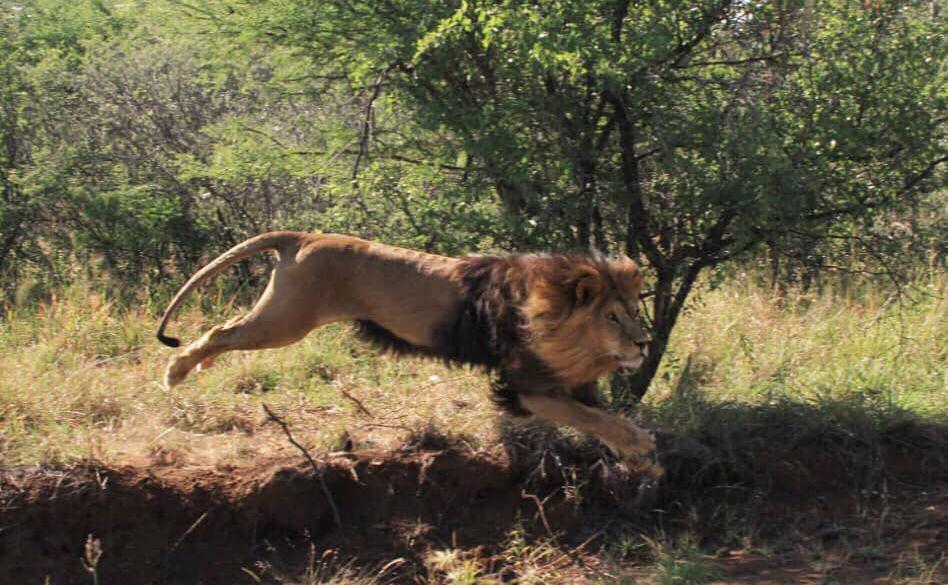 Melena disfrutando el nuevo hbitat