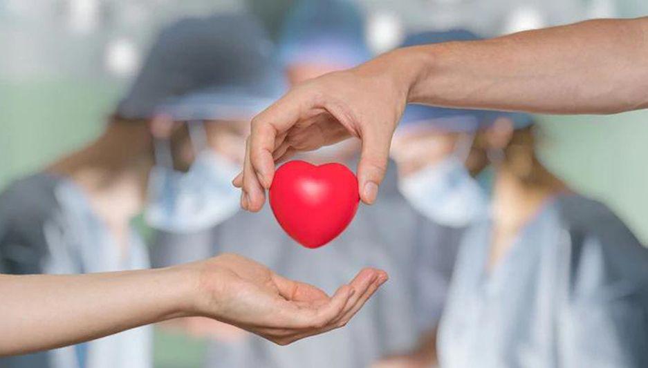 Jornada cientiacutefica por el Diacutea de la Donacioacuten de oacuterganos