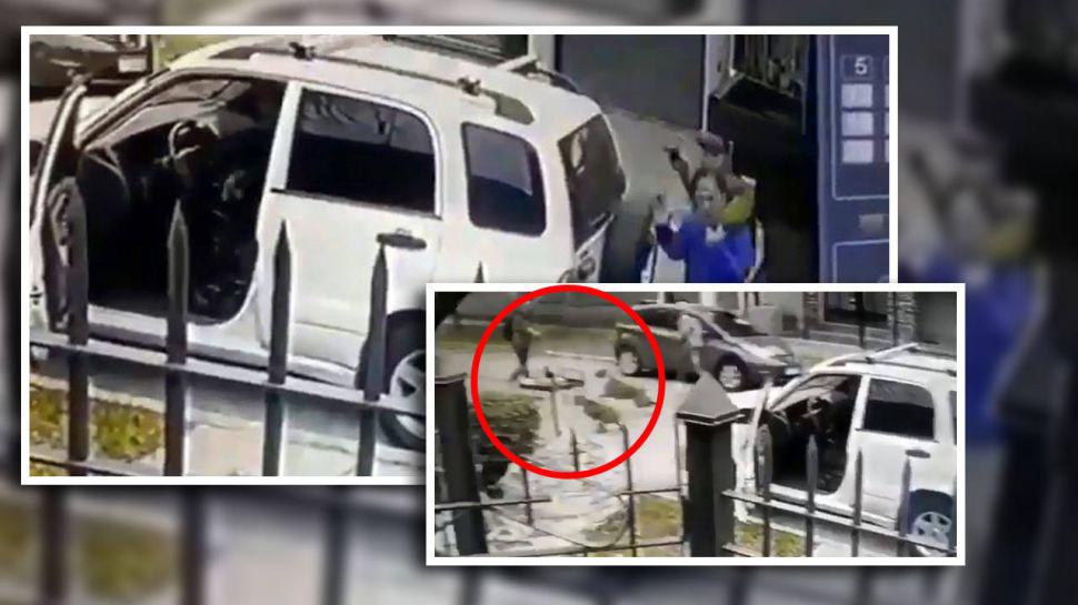 Video  Dos perros defendieron a su duentildeo de una violenta entradera