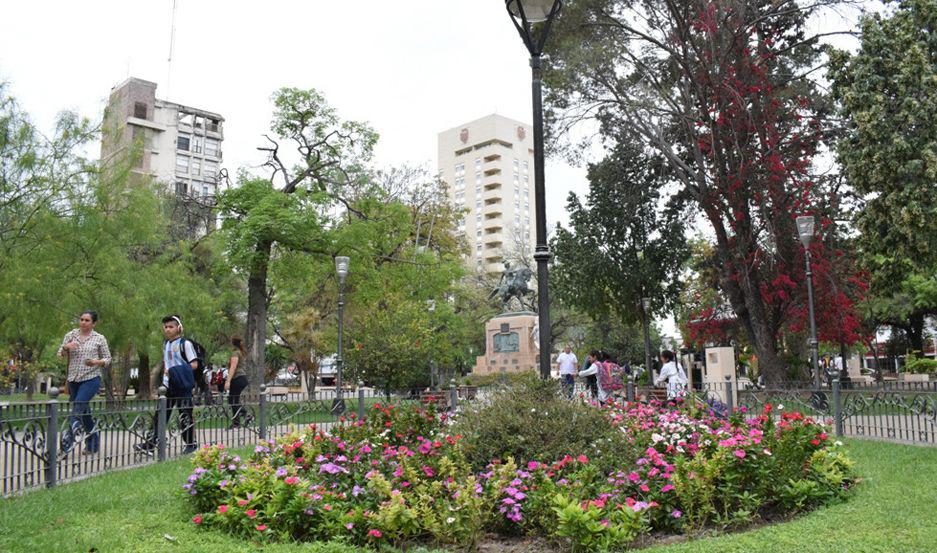 Por el Diacutea Mundial del Ambiente realizaraacuten varias actividades