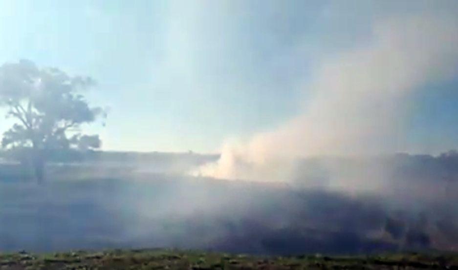 VIDEO  Sofocan incendio de pastizales en la Costanera Norte