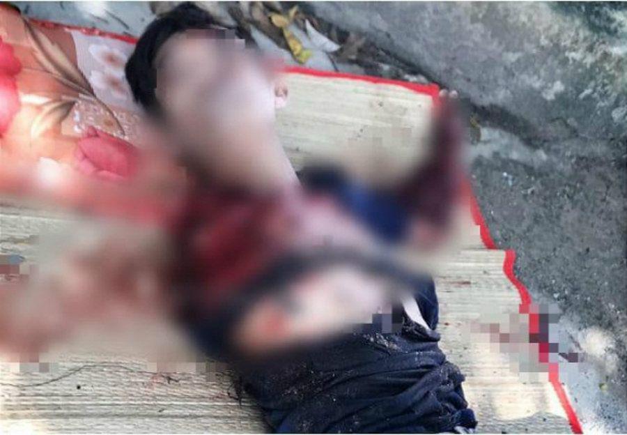 Ebrio pierde sus brazos al acercarse demasiado a la jaula de un tigre