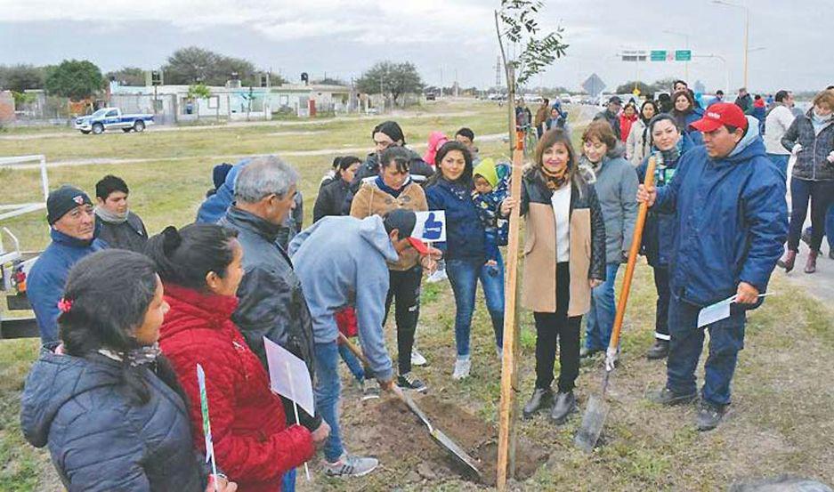 La intendenta lanzoacute oficialmente la Campantildea de Arbolado Urbano 2019
