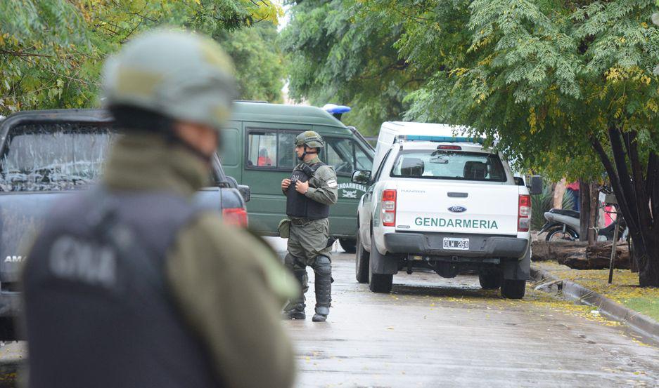 Vendiacutean drogas camufladas por criacutea de cerdos y rintildea de gallos