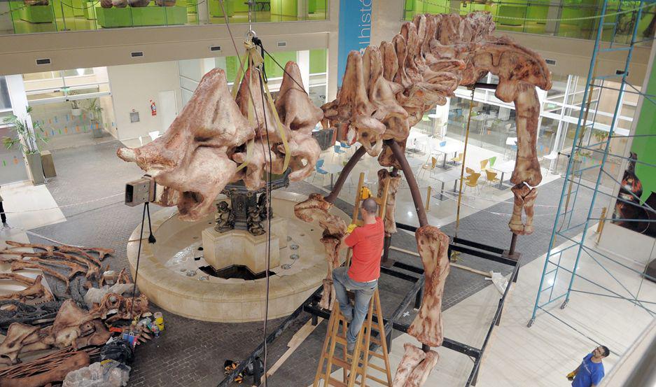 El Centro Cultural del Bicentenario exhibiraacute por primera vez al titanosaurio maacutes grande del mundo