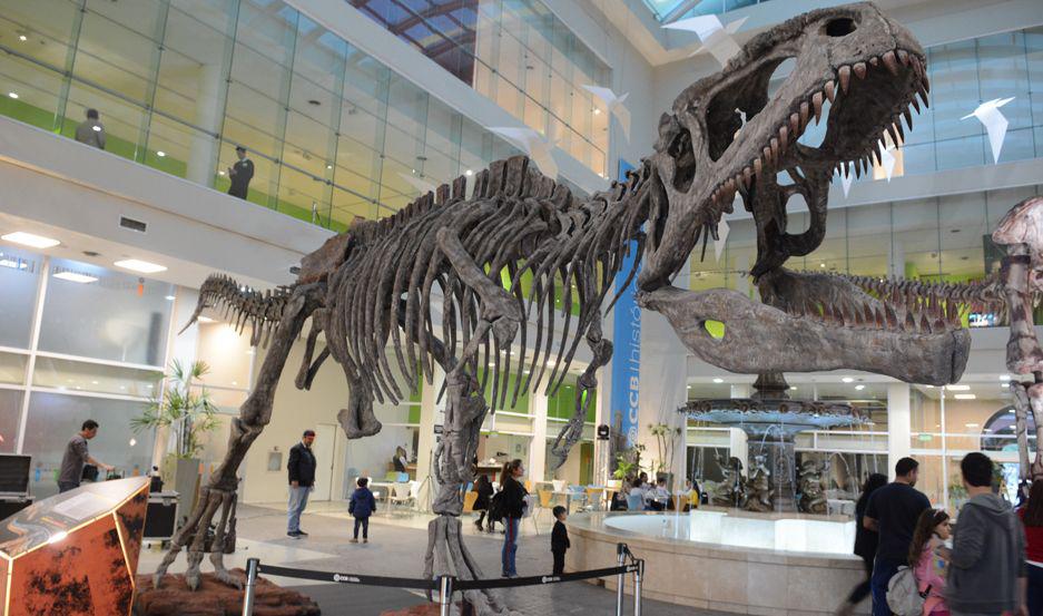 ldquoGigantes de la Patagoniardquo ya ocupan  el Centro Cultural del Bicentenario