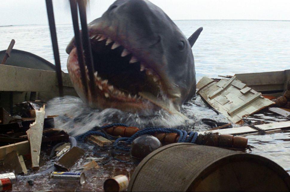 Como en Jaws de Spielberg un tiburoacuten arrastra un barco de pescadores