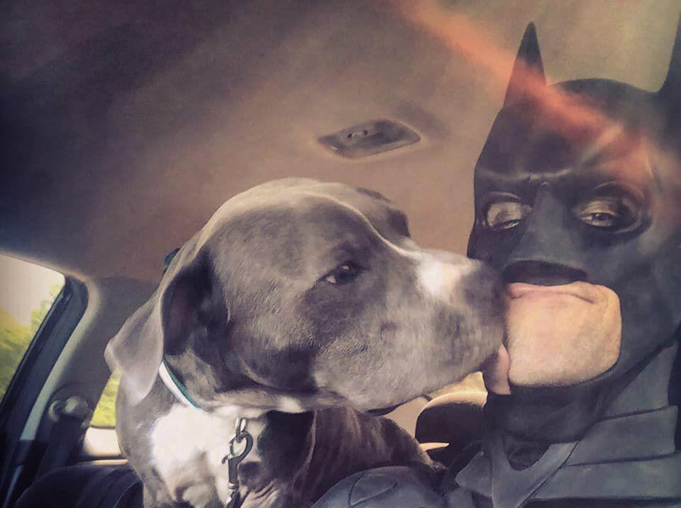 Disfrazado de Batman rescata perros que van a ser sacrificados