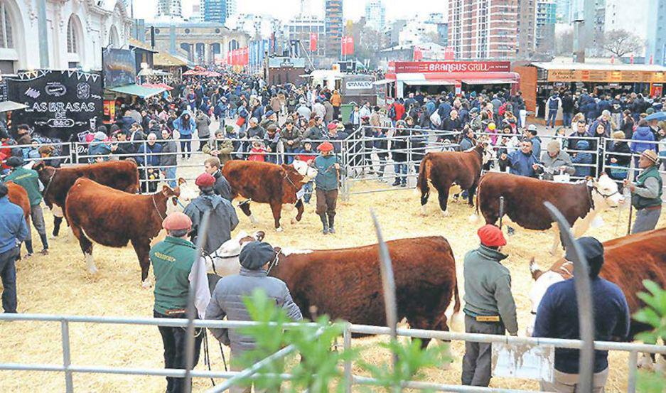 Se inicia la Expo Rural 2019 con 400 expositores de todo el paiacutes y 4 mil animales