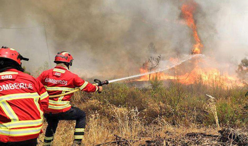 Portugal estaacute afectada por cinco incendios de una gran magnitud