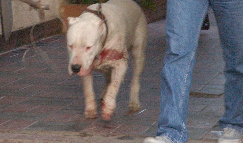 Familiares contaron detalles macabros del ataque del Dogo