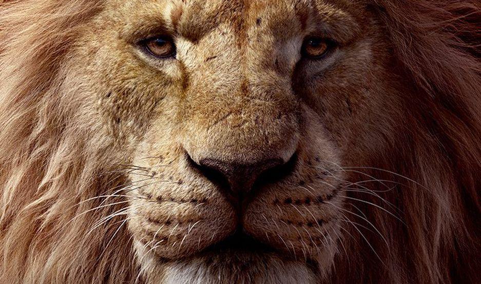 Vuelve la poleacutemica sobre ldquoEl Rey Leoacutenrdquo