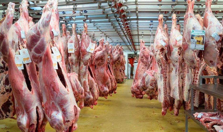 Preveacuten que la exportacioacuten de carne podriacutea crecer en US 10000 millones en 2025