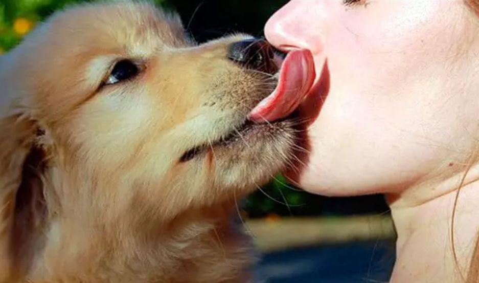 La mujer sufrió la mutilación luego que su perro le transmitió una bacteria a través de una lamida Imagen ilustrativa