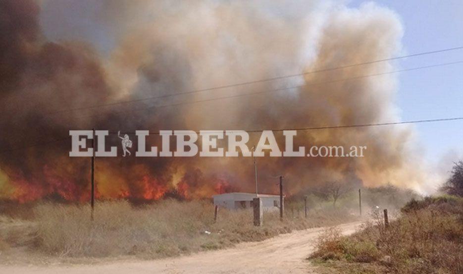 IMAacuteGENES  Impresionante quema de pastizales genera alarma en Forres