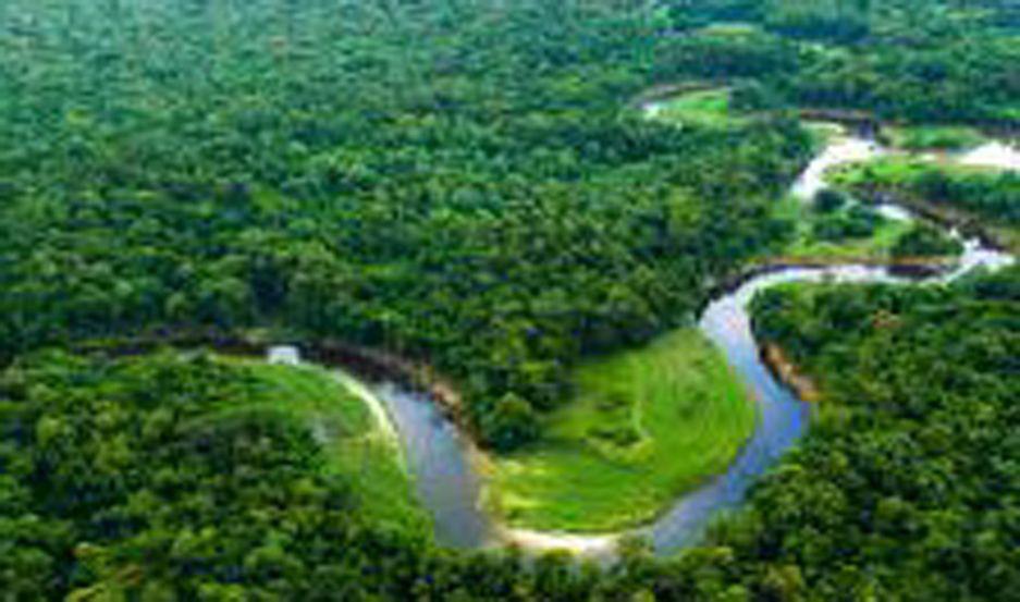 Bolsonaro dijo que parte de la Amazoniacutea podriacutea ser como Japoacuten