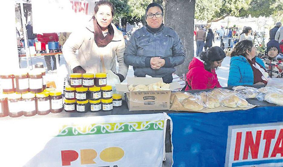 Hoy funciona la feria de la Economiacutea Social en Friacuteas