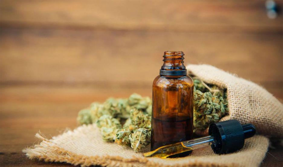 Santa Fe pide producir aceite de cannabis despueacutes de detectar baja calidad del existente