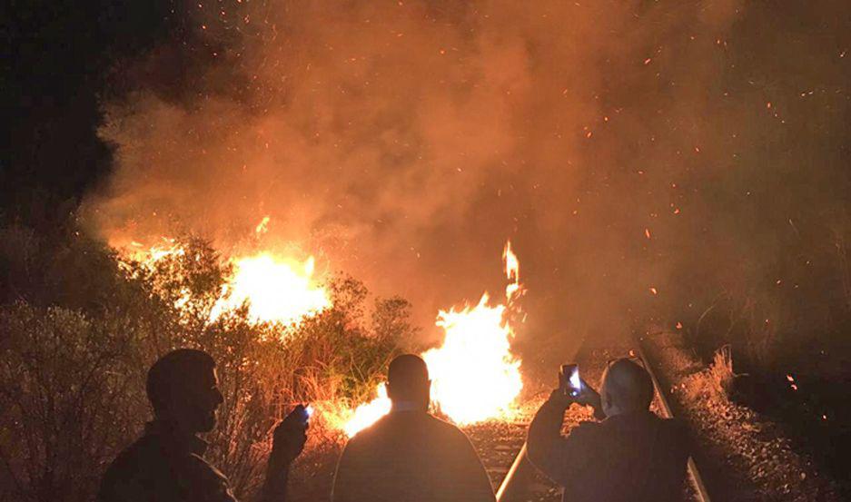 Un incendio de pastizales sobre las viacuteas demoraba al tren de pasajeros a Retiro