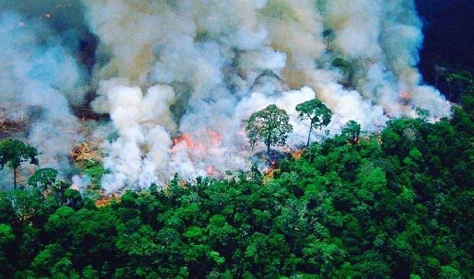 El humo de los incendios en la selva amazoacutenica ya llegoacute a la Argentina