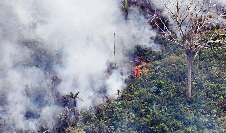 El incendio en el Amazonas cubre la superficie comparada a la de Francia