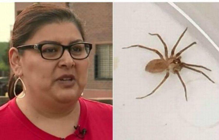 Una mujer teniacutea una arantildea venenosa dentro de un oiacutedo