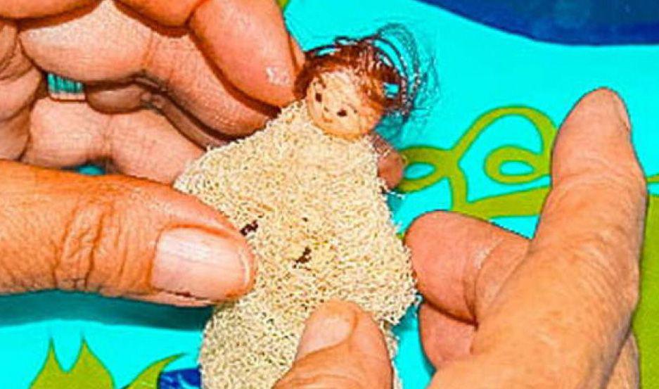 Esta tarde daraacuten inicio los  talleres para construir pesebres