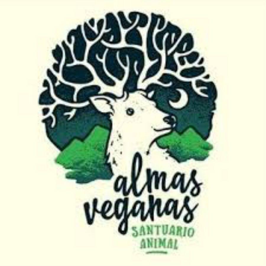 Insoacutelito- veganas separan a los gallos de las gallinas para evitar que las violen