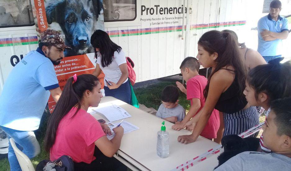 La campantildea de castracioacuten de perros y gatos llega a los barrios Toro Yacu y Pescadito