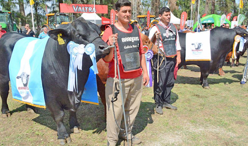 Cabantildeas de ocho provincias en la 13ordf edicioacuten de la ExpoBra en San Carlos