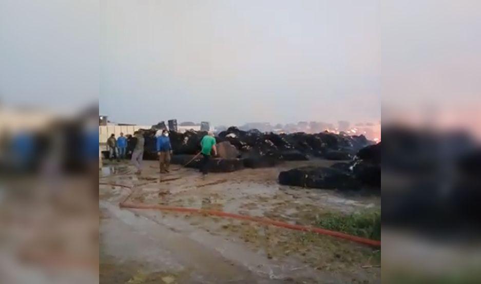 Un voraz incendio en una desmotadora consumioacute 2000 fardos de algodoacuten