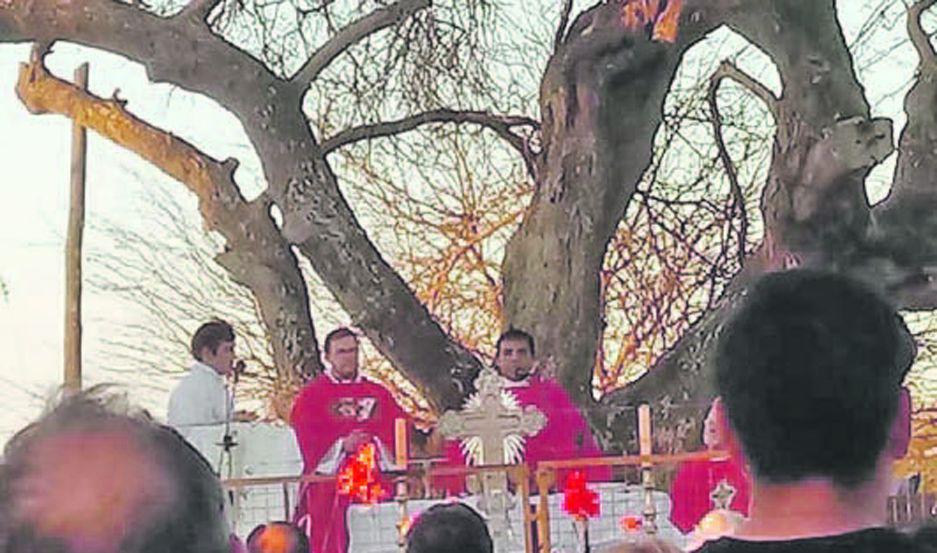 El Aacuterbol Santo Histoacuterico  recibioacute a miles de peregrinos