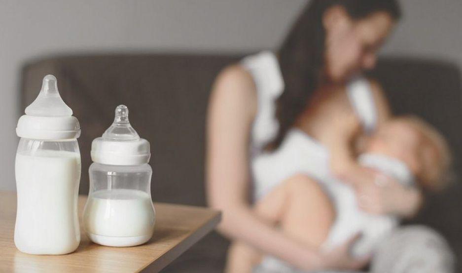 Investigadores revelan nuevos hallazgos sobre la composicioacuten de la leche materna