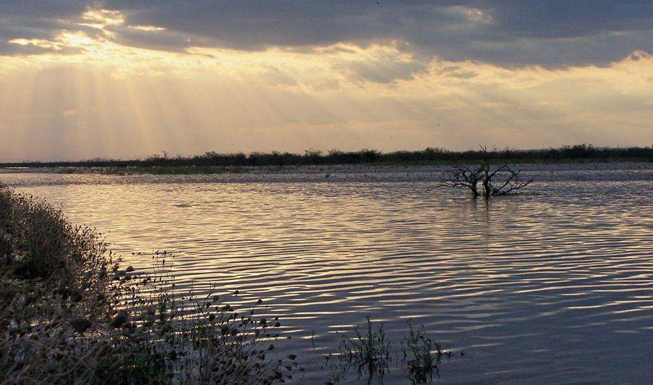 No seriacutean de Tomaacutes Ibarra los restos oacuteseos hallados en Salavina